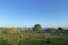 Early-Morning-tents-scaled