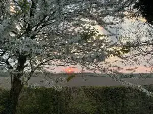 Sunrise looking out over a field