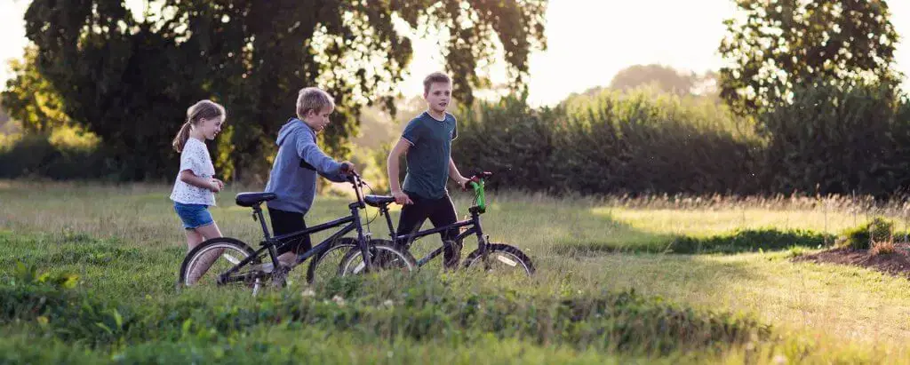 Three children with bikes walking through a field