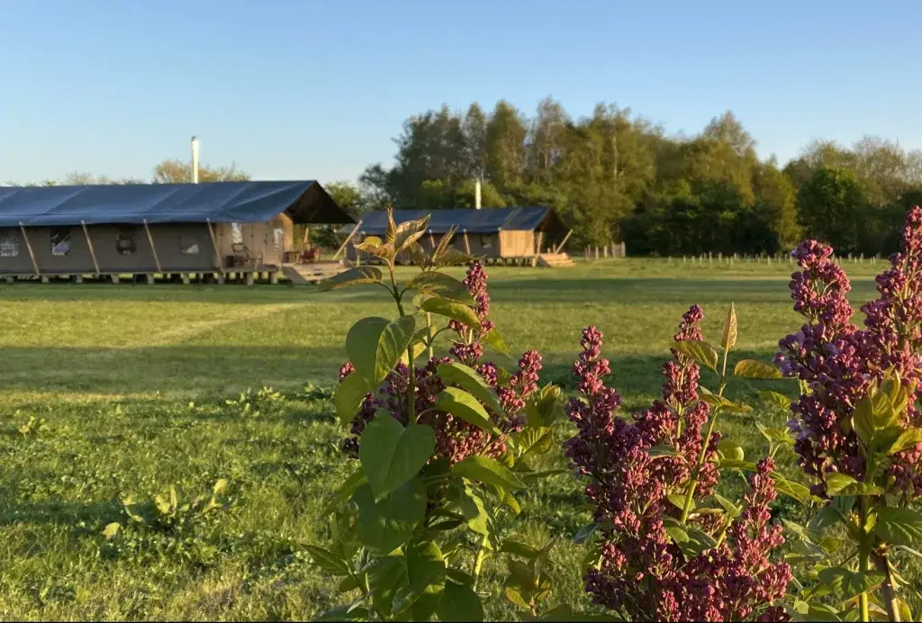 self catering under canvas