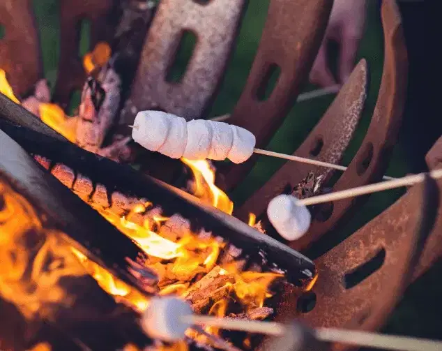toasting marshmallows over a fire pit
