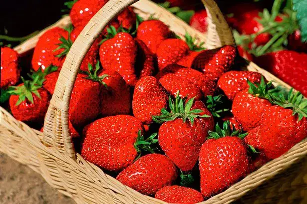 basket of strawberries