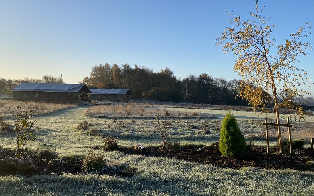 Frosty Safari Tents