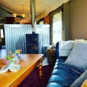 sofa and wood burning stove