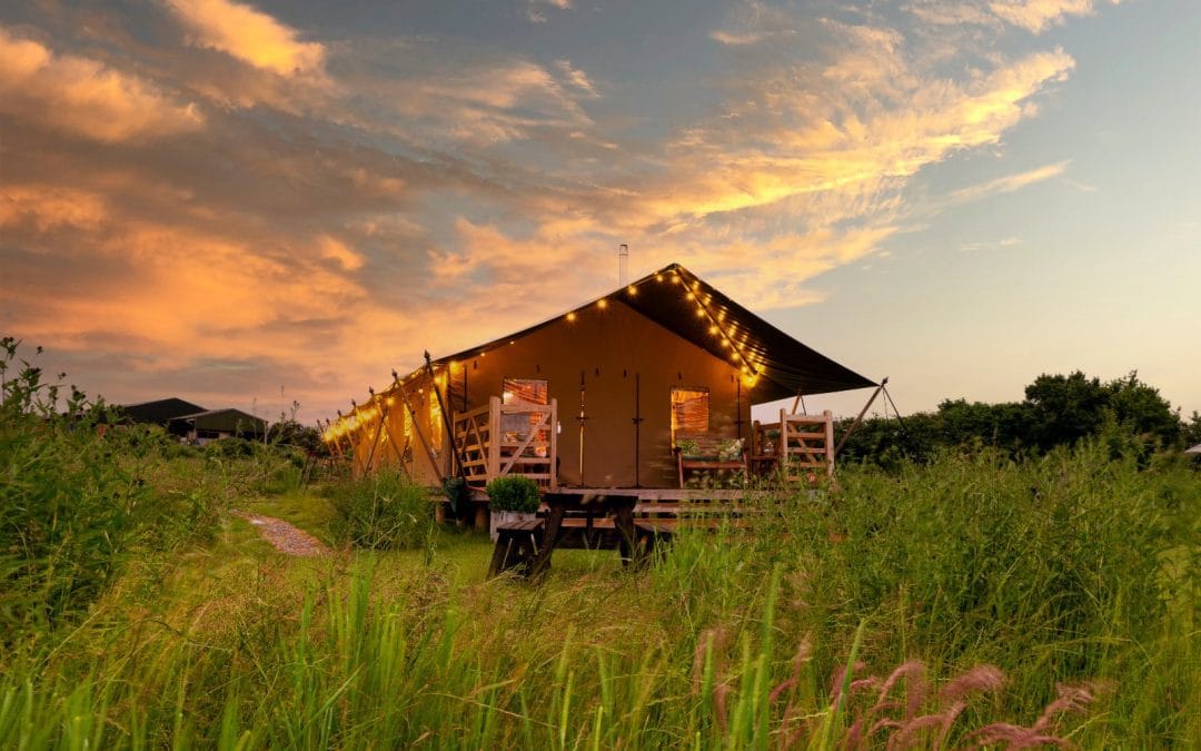 Luxury Safari tent at night with festoon lighting