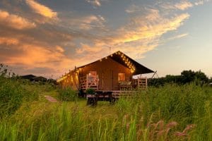 glamping with friends and family