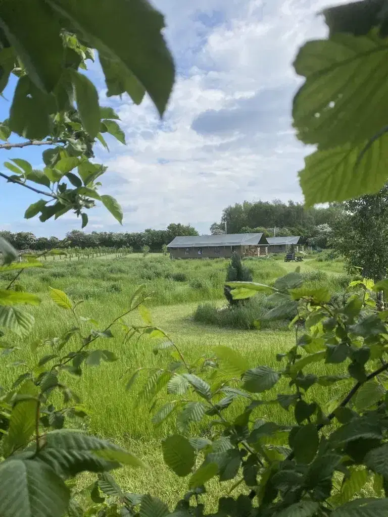 Large meadow Field with 2 safari tents