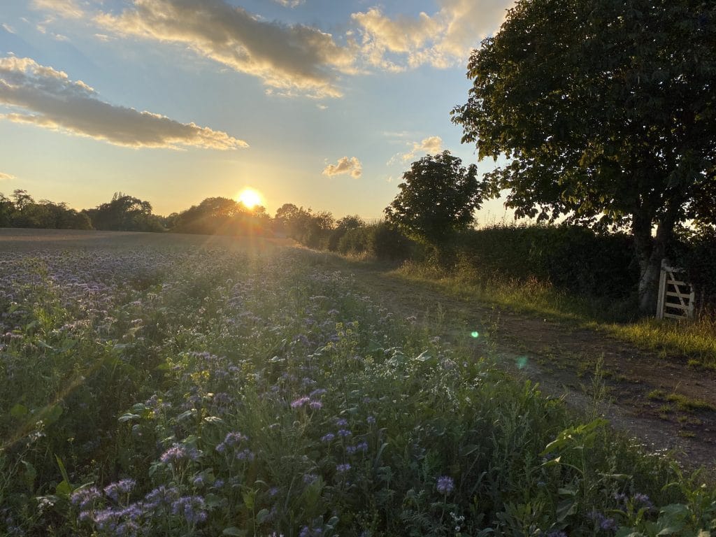 beautiful countryside