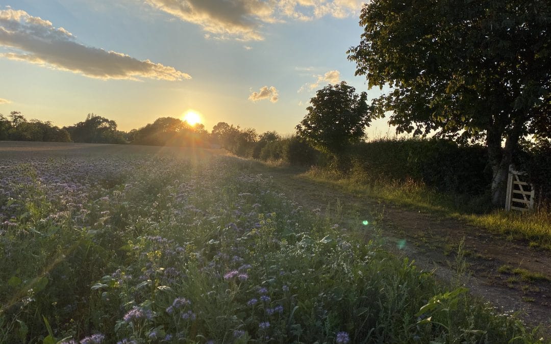 The Great British Escape: How Nature Therapy & Glamping in the UK are the Perfect Combination