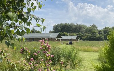 The Art of Slowing Down: Why Luxury Glamping is the Ultimate Reset