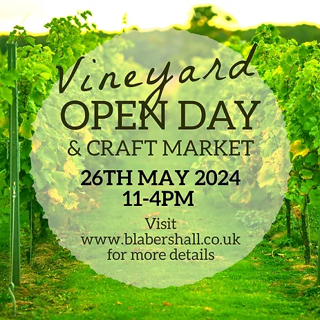 vineyard open day poster