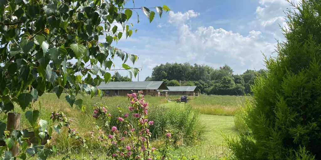 two safari tents in a meadow field with trees and flowers