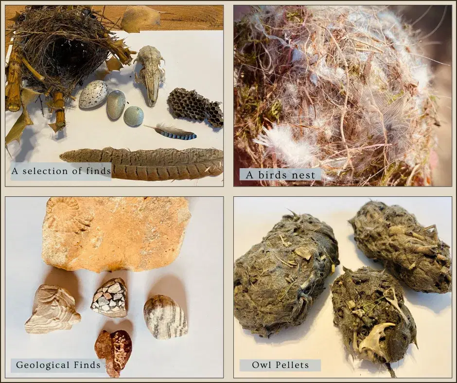 A collection of collected things