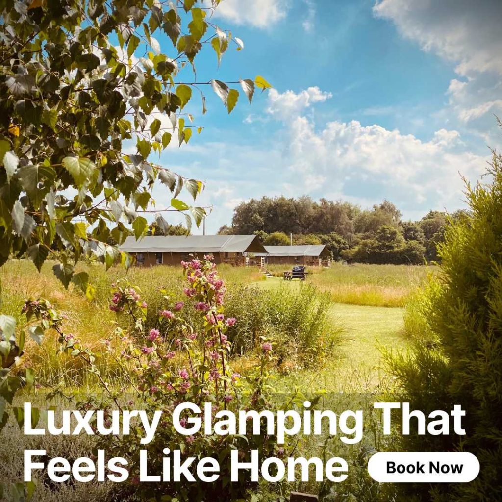 Meadow Field Luxury Glamping