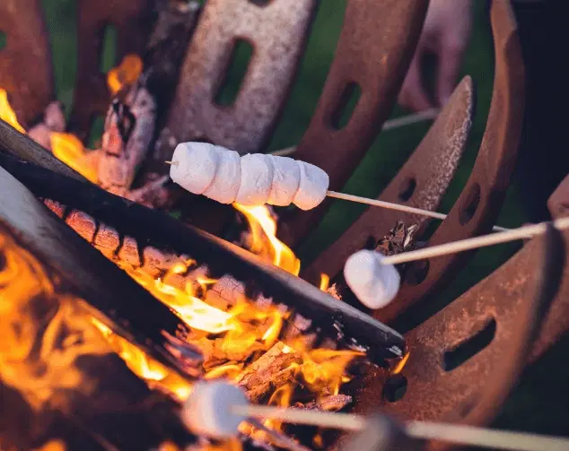 toasting marshmallow on campfire