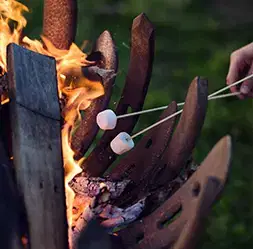 toasting marshmallows