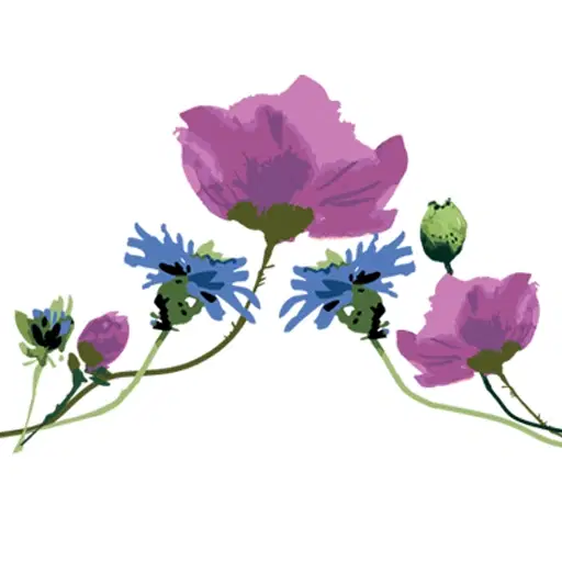 Meadow Field flowers