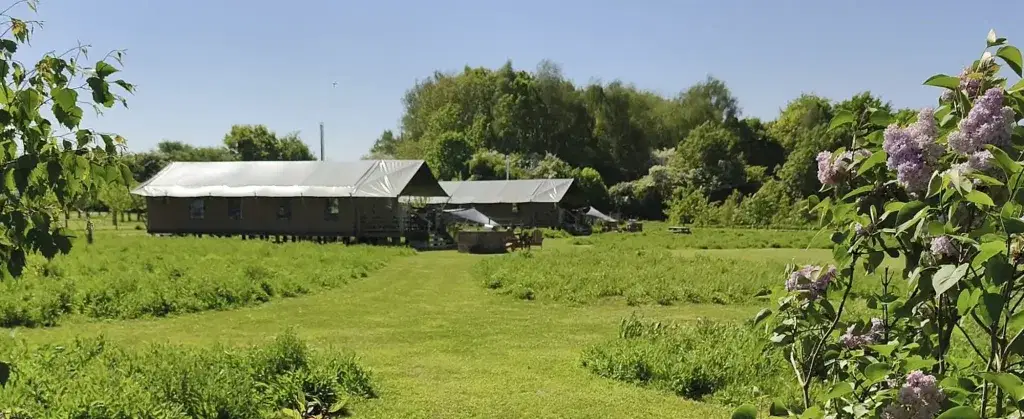 Luxury safari tents